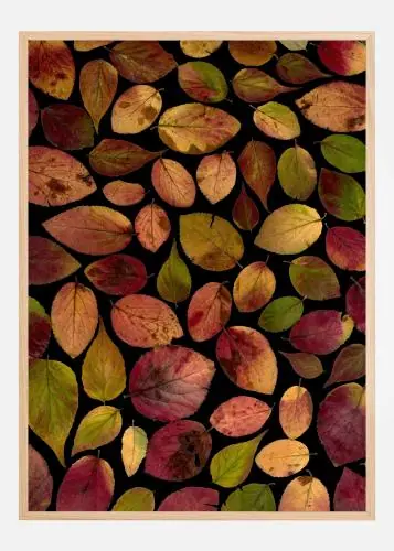 Autum Leafs Poster (21x29.7 cm (A4)) Preț promoțional