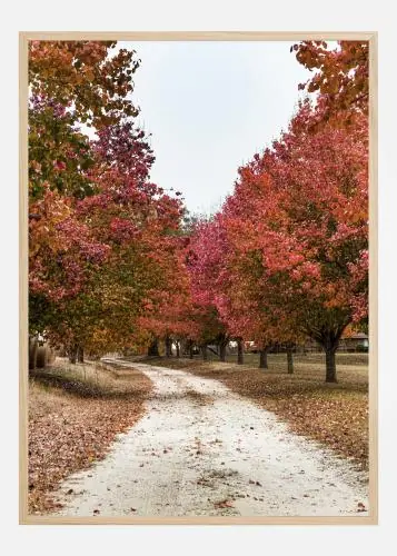 Autum Road Poster (21x29.7 cm (A4)) Expediere rapidă