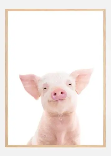 Baby Pig Poster (21x29.7 cm (A4)) Reducere de preț