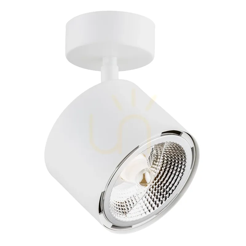 Cumpără acum Spot reglabil ARGON Clevland alb GU10 LED AR111 4702 BZ
