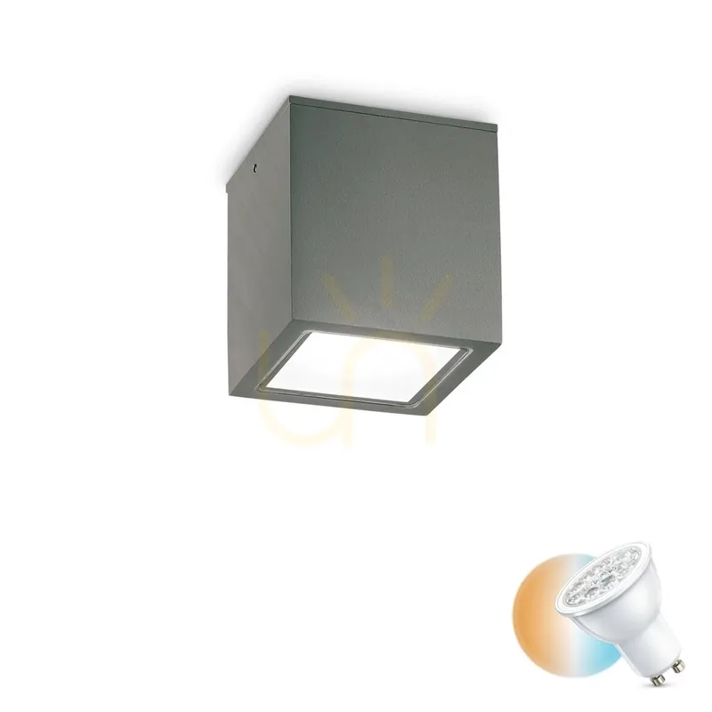 Plafonieră exterior Ideallux TECHO PL1 BIG antracit GU10 15 cm 251516
Ofertă Limitată Preț mic
