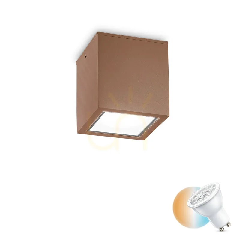 Mai ieftin Plafonieră exterior Ideallux TECHO PL1 BIG COFFEE maro GU10 15 cm 251547
Ofertă Limitată