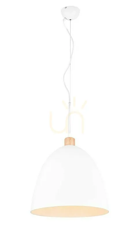 Chilipir RL JAGGER Lampă suspendată R30681931