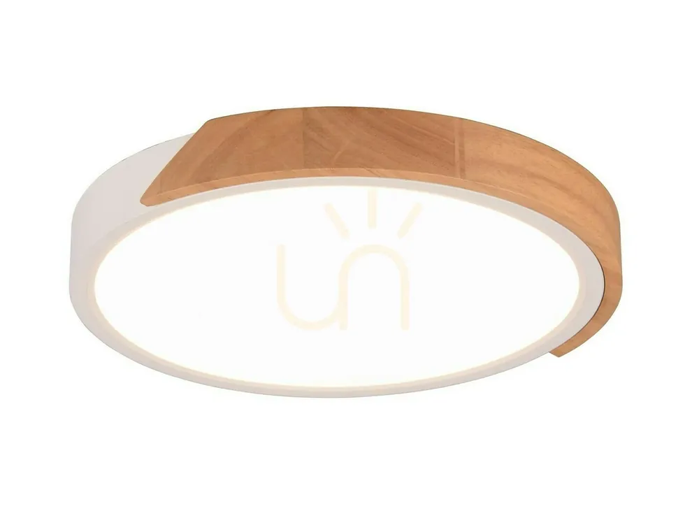 Expediere rapidă Plafond RL JANO R67201131
