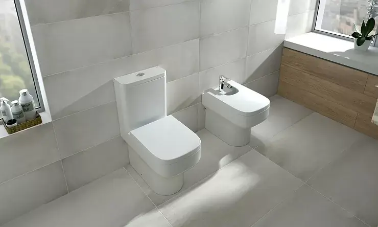 Disponibil imediat Capac soft close vas wc Gala seria Mid 5170101