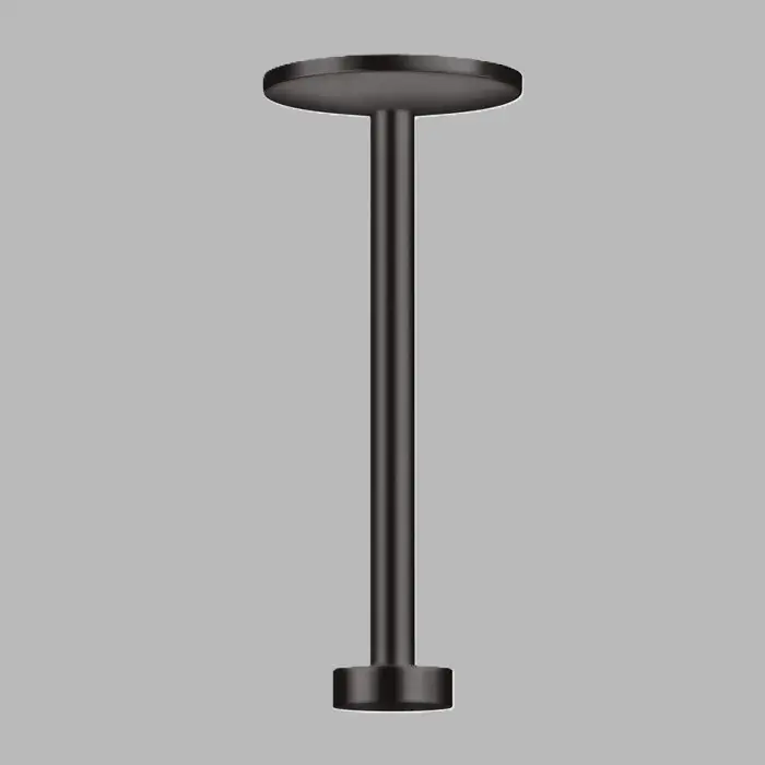 Retur gratuit Brat de dus, montaj pe tavan, 300 mm, pentru dus fix 280, 2jet, antracit periat (Brushed Black Chrome), Axor One 48496340
