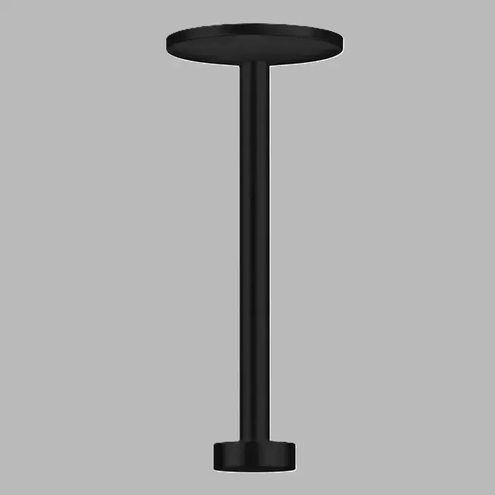Ofertă de sezon Brat de dus, montaj pe tavan, 300 mm, pentru dus fix 280, 2jet, negru mat (Matt Black), Axor One 48496670