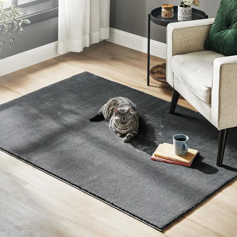 SONGMICS Covor decorativ antiderapant, lavabil la masina, 120×170 cm, gri carbune Ofertă limitată