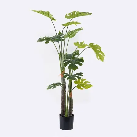 Preț mic Planta decorativa cu ghiveci Deliciosa Verde 90x90x160 cm