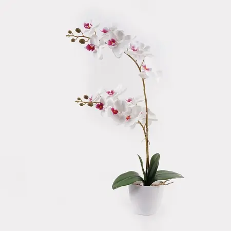 Promoție Planta decorativa cu ghiveci Orchid Alb 36x17x65 cm