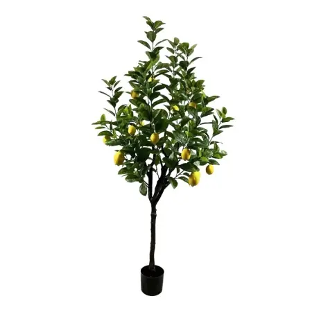 Doar azi Planta decorativa Lemon tree Verde 180x180x180 cm