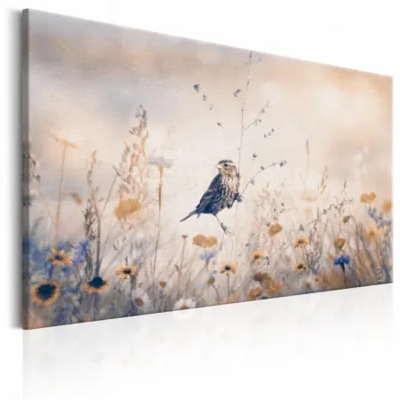 Cel mai bun preț Tablou - August Melody 60x40 cm