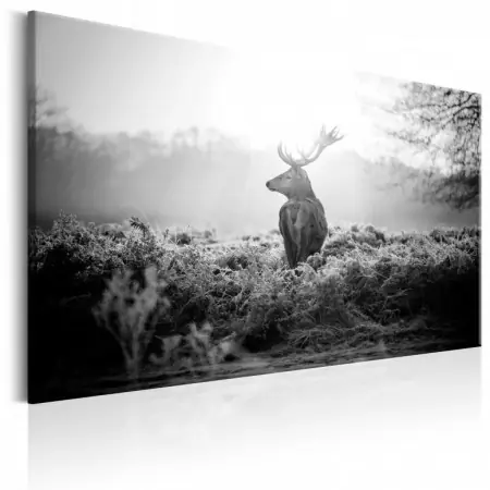 Preț promoțional Tablou - Black and White Deer 90x60 cm
