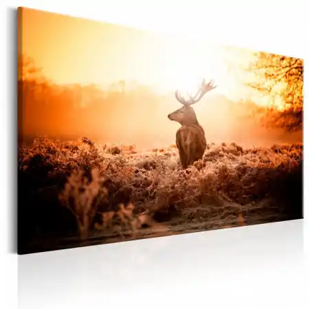 Reducere specială Tablou - Deer in the Sun 120x80 cm