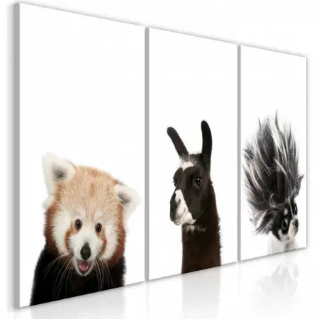 Tablou - Friendly Animals (Collection) 120x60 cm Reducere specială