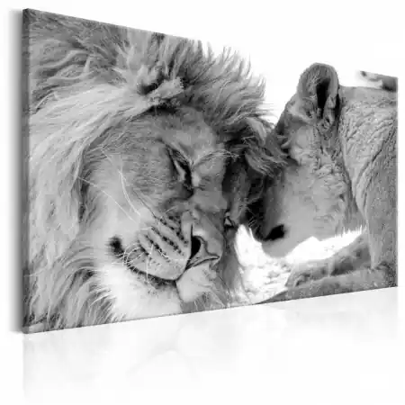 Discount Tablou - Lion‘s Love 90x60 cm