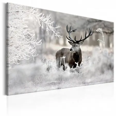 Comandă acum Tablou - Lonely Deer 90x60 cm