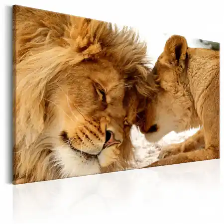 Tablou - Love‘s Secret 60x40 cm Mai ieftin