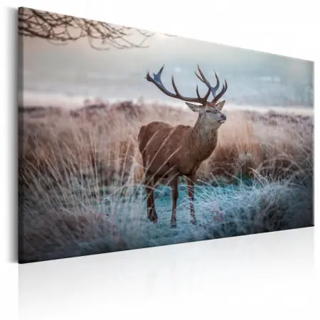 Tablou - Wild Animal 120x80 cm Chilipir