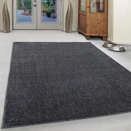 Promoție Covor Ata Gri 200x290 cm