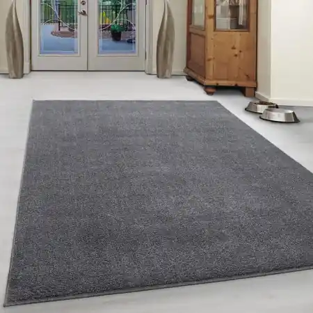 Covor Ata Gri Deschis Deschis 80x150 Premium