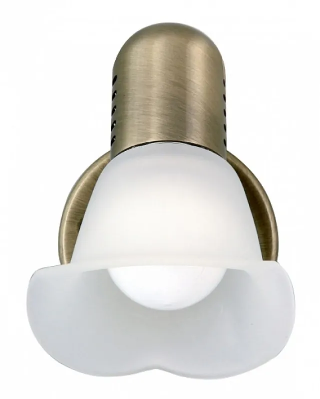 WAVE Popular