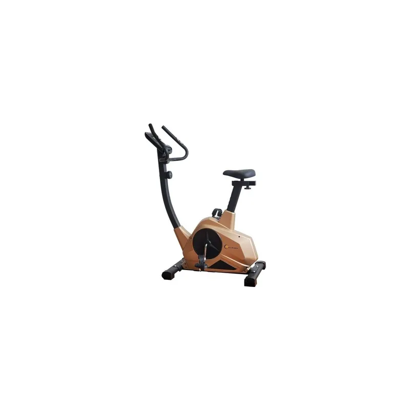 Chilipir Bicicleta magnetica FitTronic 601B Gold - Apps Zwift, Kinomap and Fitshow